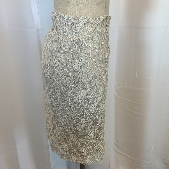 Cremieux Cody Skirt Silver/Taupe Sparkle Lined Midi Length, Lined, Size Medium - Picture 2 of 14